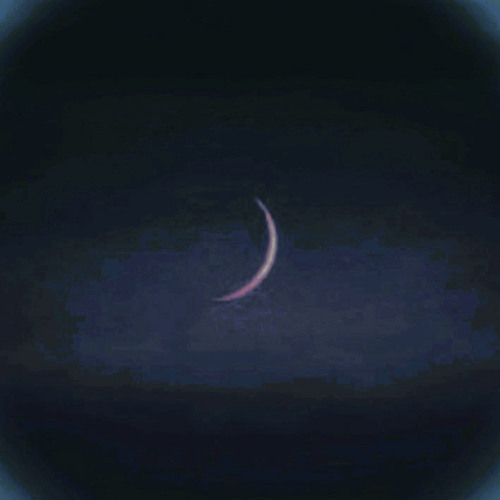 Another New Moon