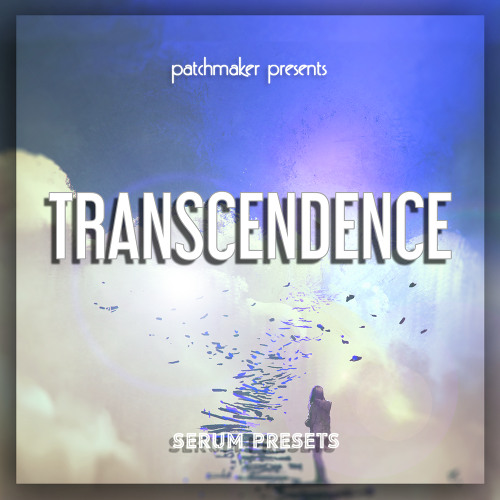 Transcendence for Serum 2