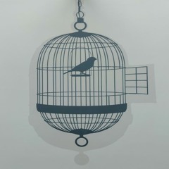 You Only Need To Cage A Bird If It Knows That It Can Fly