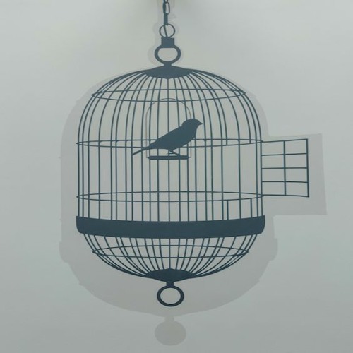 You Only Need To Cage A Bird If It Knows That It Can Fly