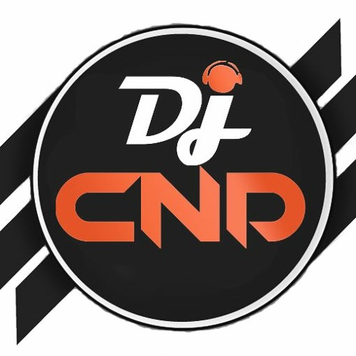 Old School Punjabi Mix | DJ CND