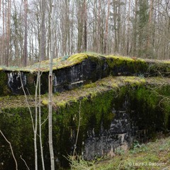 Symposium „Natur und deutsche Geschichte. Glaube – Biologie – Macht”