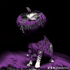 spooky cat