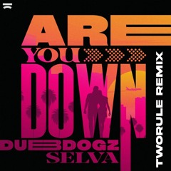 Dubdogz, Selva - Are You Down (TwoRule Remix)(Remix Contest)