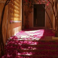 كَلَّا إِنَّ الْإِنسَانَ لَيَطْغَىٰ - محمد صديق المنشاوي