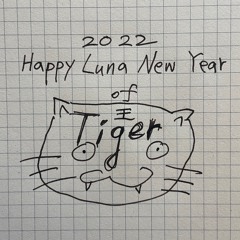 2022 fireworks of Lunar New Year of Tiger