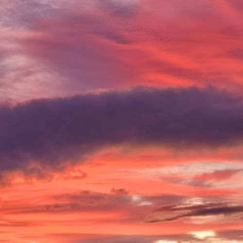 Signals of the universe