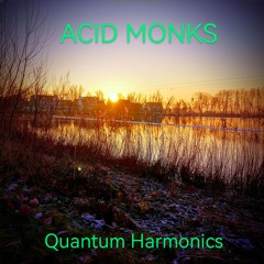 Acid Monks
