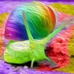 Rainbow Snail [UNMIXED]