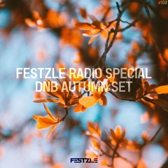 FESTZLE RADIO #102 - ManyMore's Special DNB Autumn Set