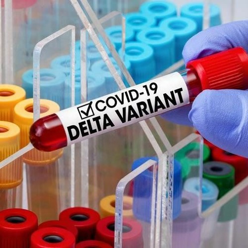 Covid-19 Aşıları Hastalığa Karşı Ne Kadar Etkili?