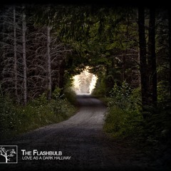 The Flashbulb – Love As A Dark Hallway