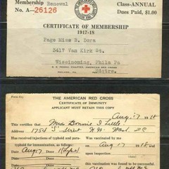 where the crickets lay