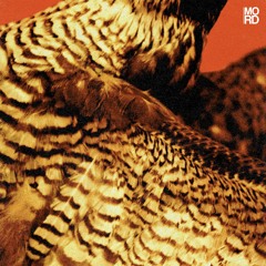 MORD113 - Amorphic & Tensal - Highland Frequencies EP [Previews]