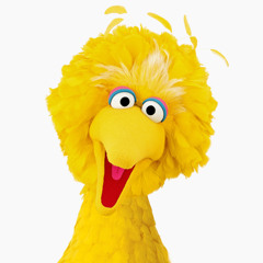 4 BigBird