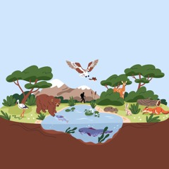 Bird Research