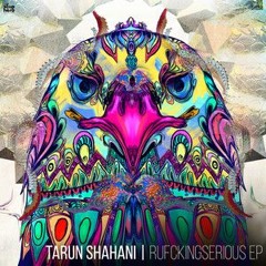 Tarun Shahani - Kick is a Verb