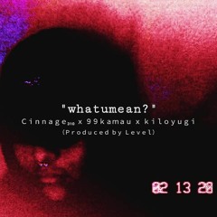 Cinnage x Kamau Kaan x Kiloyugi - "what u mean?" (Prod. Level)