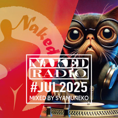 Classic & Groovy House Mix / Naked Radio #017