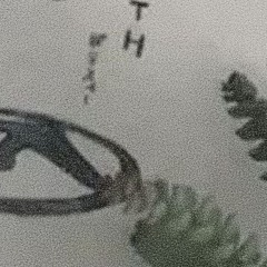 wind