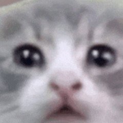 Yuyoyuppe - Palette - [Autism Cover]