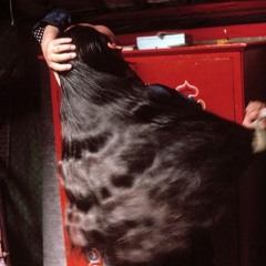 رضا العبدالله..الملح والزاد