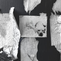 s t u t t e r  .  p   r   o   d  .  medium