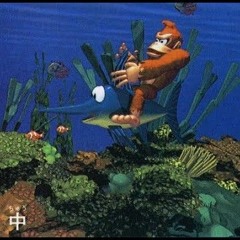 Donkey Kong Country  Aquatic Ambience Restored.mp3