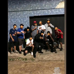 trem mais caro 🫡🦁