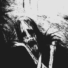 black and DSBM metal
