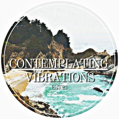 Contemplating Vibrations [#03] Paranoid SouL