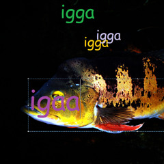 tropicaliggamodebass