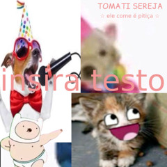 tomati sereja (ele come é pitiça 🍕 yeee 🍕)
