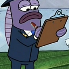 HIPPO CRITIC