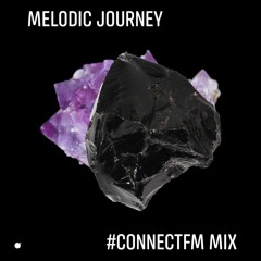 Melodic Journey(ConnectFM Radio Mix)