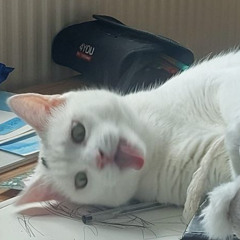 Minou - A tour through Head and Heart (Re-upload 2022.8)