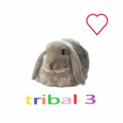 TRiBAL3