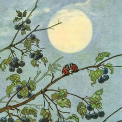 alles anders aber gleich (prod. beats by hills)