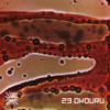 Tentacular 23 ~ Okouru DJ mix artwork - Electronic music tracklist cover image