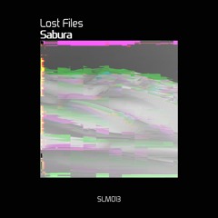 PREMIERE: Sabura - Shattered Love (Original Mix)