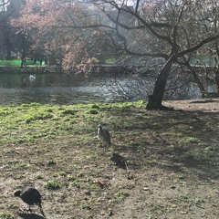 Let The Sun Shine Down On Me - Lyrics by Andrea Campanile