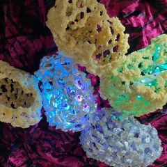 Multisensory Virus: Synonymous and Non-synonymous Harmonic Fields