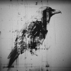 corvus