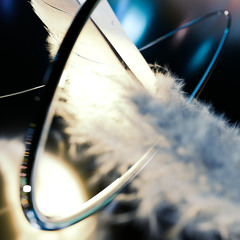 Universe (Radio Edit)