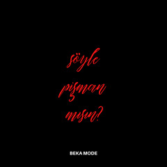 SÖYLE PİŞMAN MISIN?