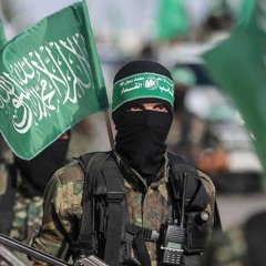 وطني فحت