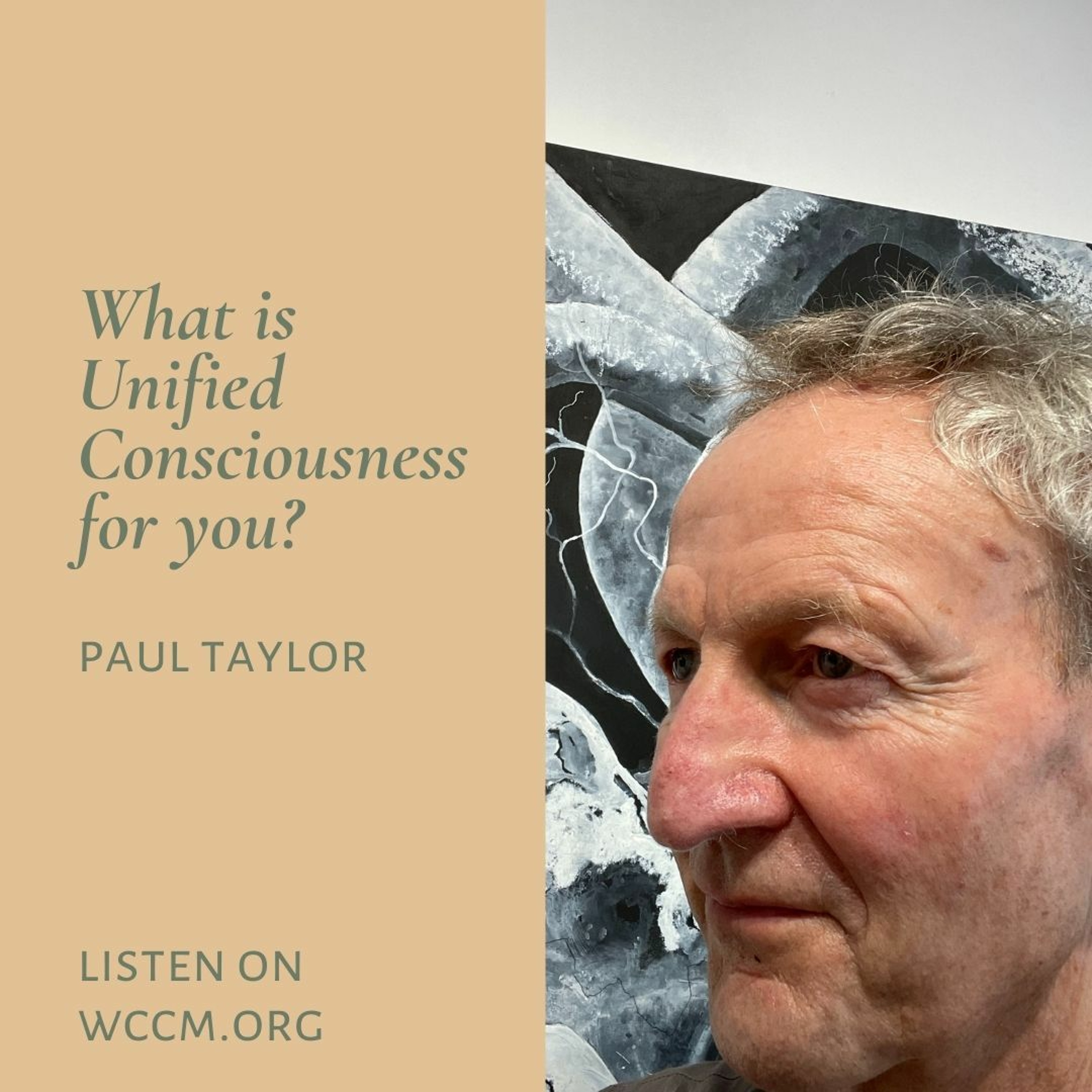 What is Unified Consciousness for you? Episode 2 with Paul Taylor