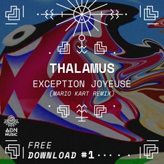 FREE DL #1 : THALAMUS - Exception Joyeuse (Mario Kart Remix)