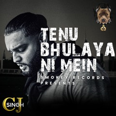 Tenu Bhulaya Ni Mein - CJ Singh