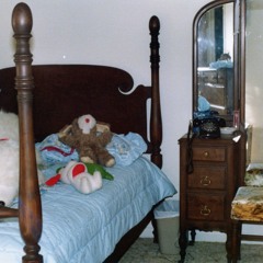 inside dog